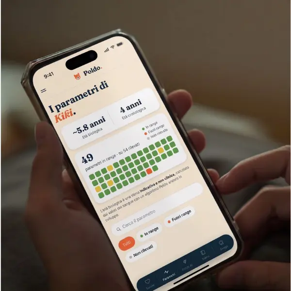 Schermata della chat con il veterinario nell’app Poldo