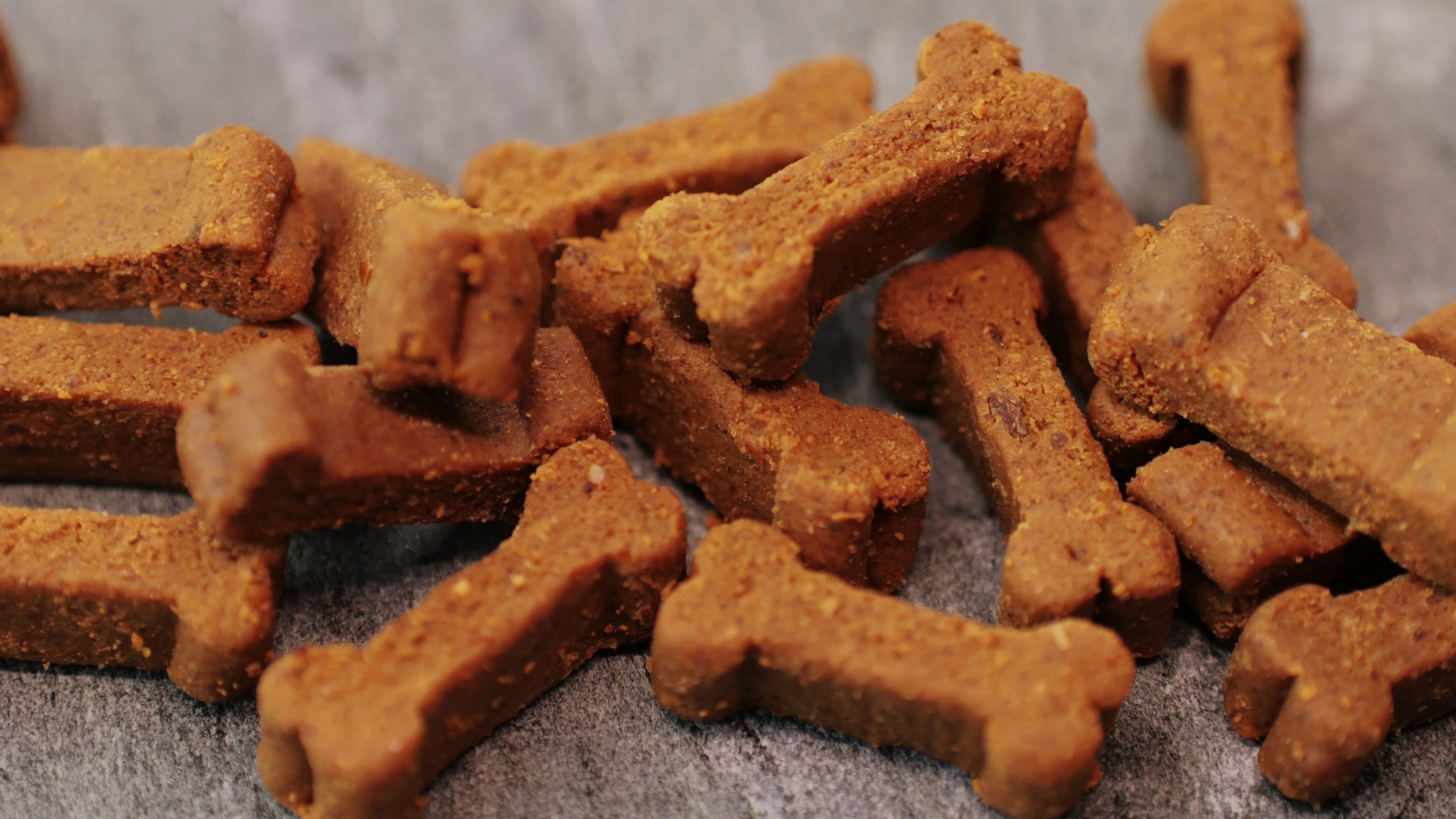 snack per cani