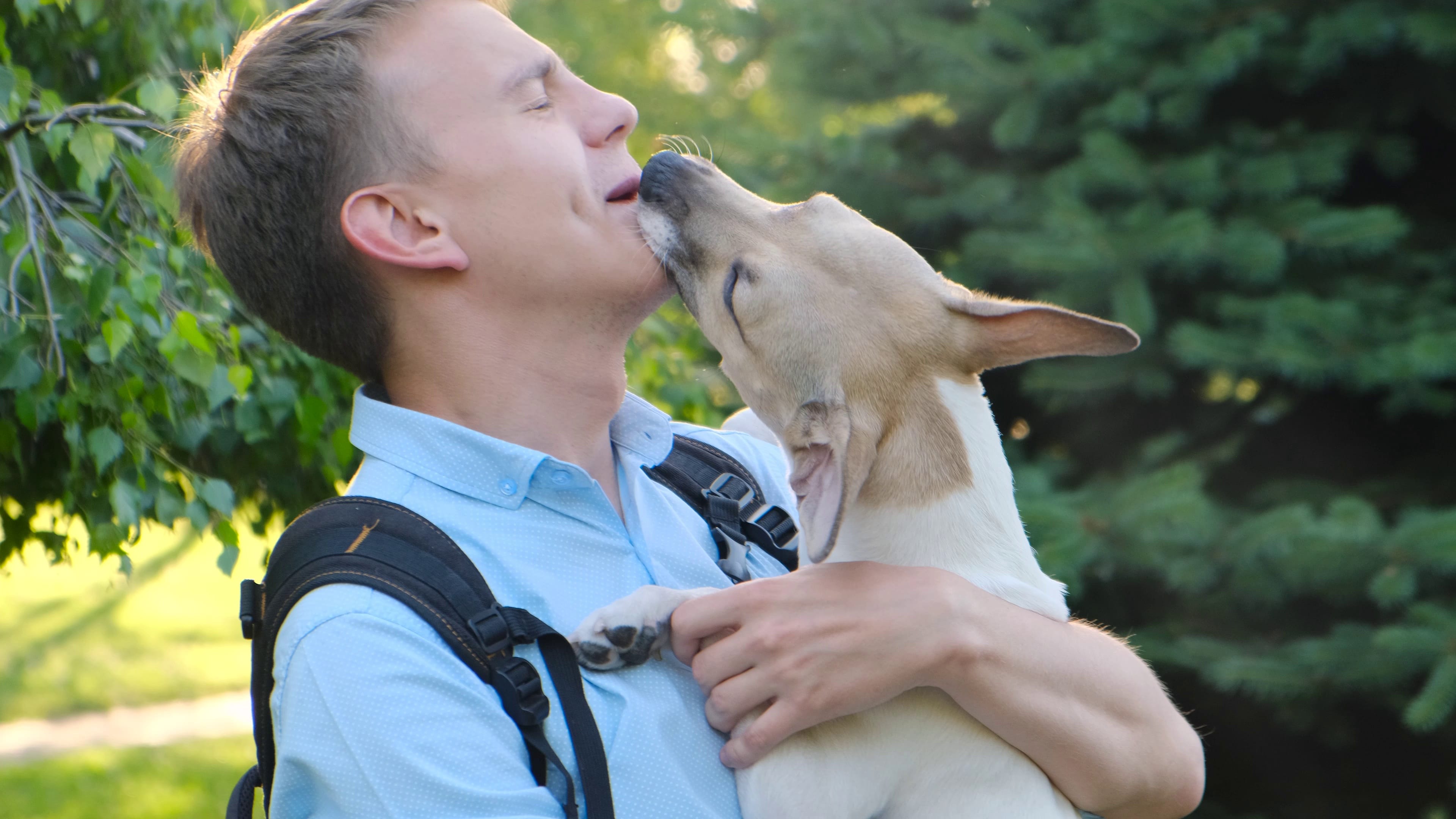 perché il cane lecca