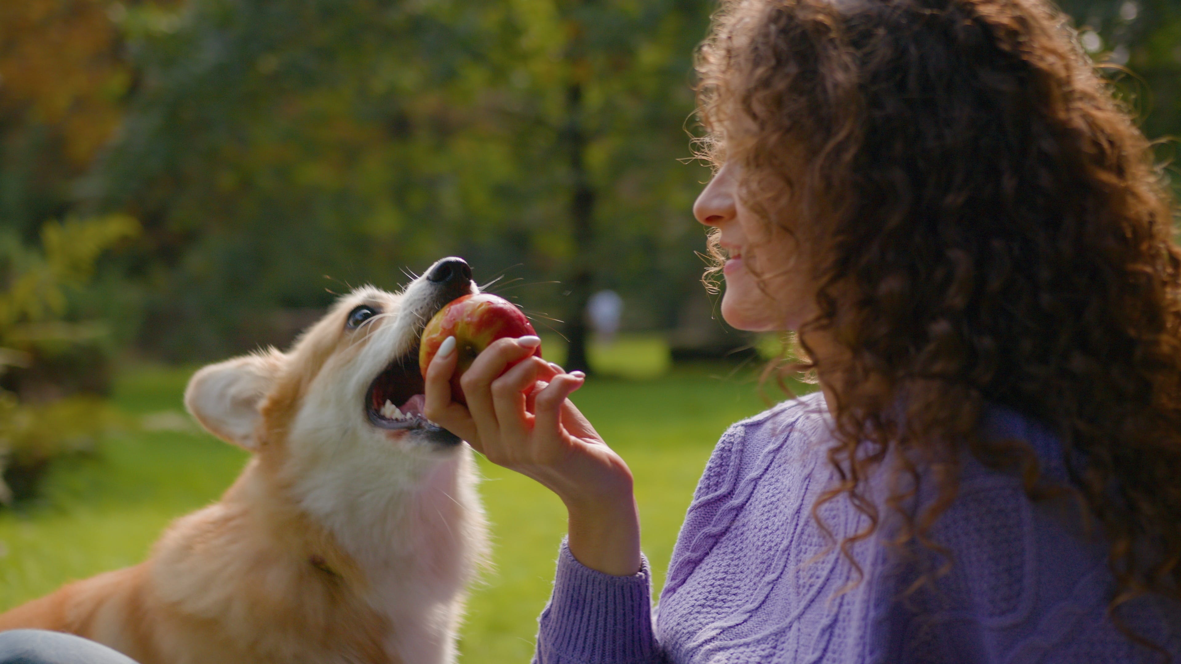 frutta ai cani